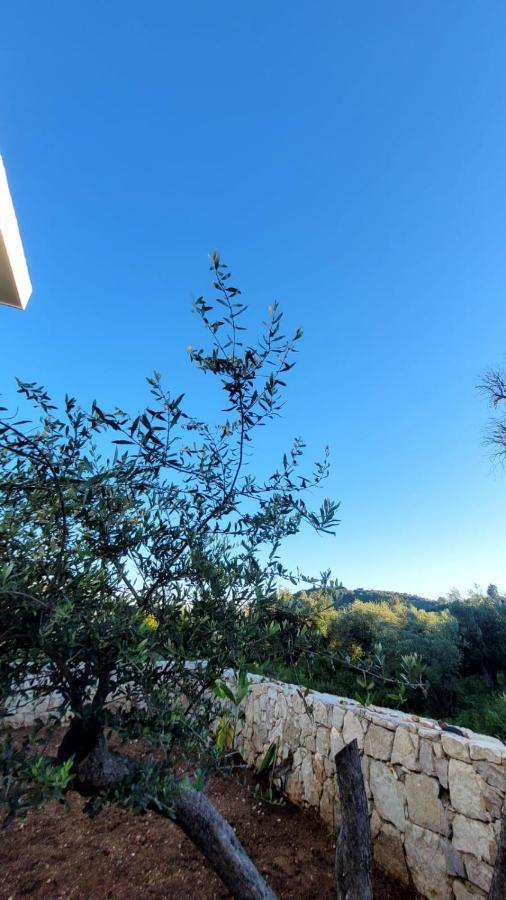 Sweet Home Himara Himare Exterior foto